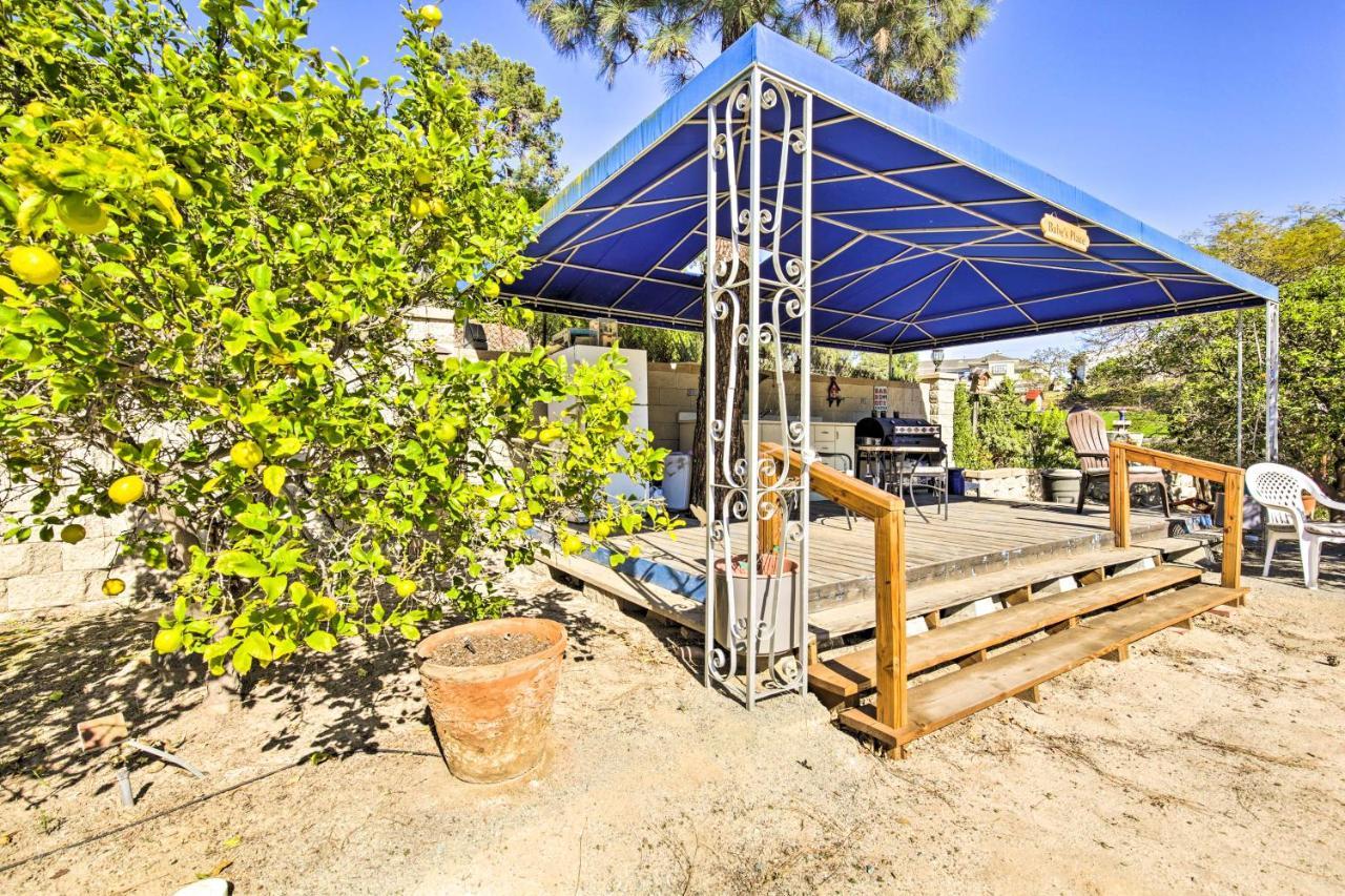 Sunny Bonita Studio About 5 Mi To Historic Dtwn! Εξωτερικό φωτογραφία